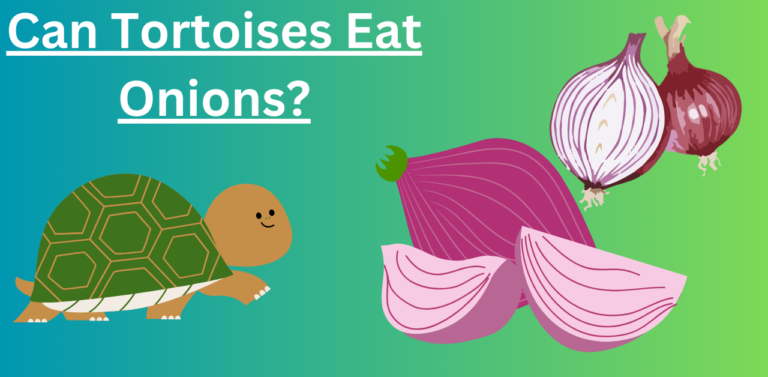 Can Tortoises Eat Onions? Unraveling the Myths and Facts